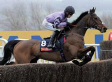 owners group horses running today.
